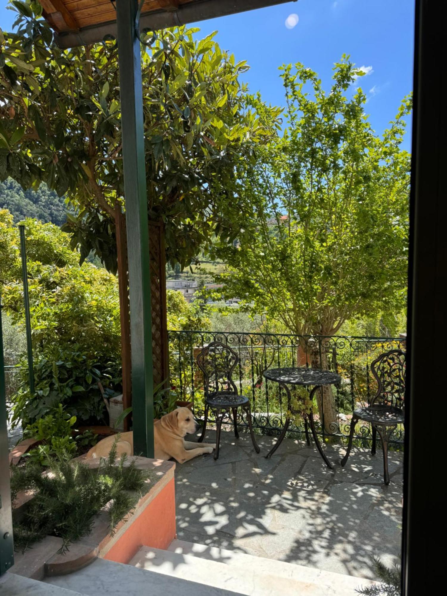 “Da Gio” In Un Antico Borgo Di Genova Apartamento Exterior foto